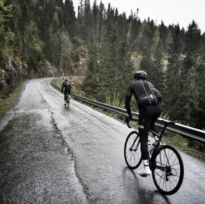 Forest cycling trail